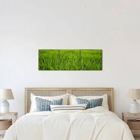 Obraz trawy (z zegarem) (90x30 cm)