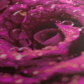 Obraz różowego kwiatu róży (170x50 cm)
