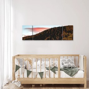 Obraz rudzików nad wzgórzem (170x50 cm)