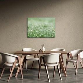 Obraz - Rosa na trawie (70x50 cm)