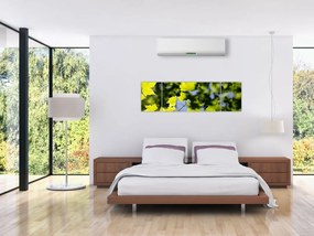 Obraz - liście klonu (170x50 cm)