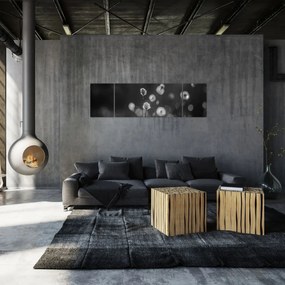Obraz - Trawa bawełniana na łące (170x50 cm)