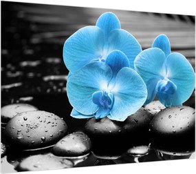 Obraz - Niebieska Orchidea (70x50 cm)