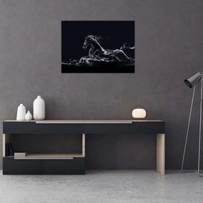 Obraz - Koń i woda (70x50 cm)