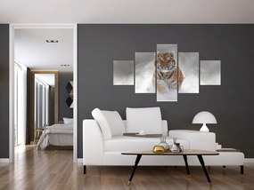 Obraz tygrysa biegnącego po śniegu (125x70 cm)