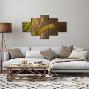 Obraz rośliny (125x70 cm)