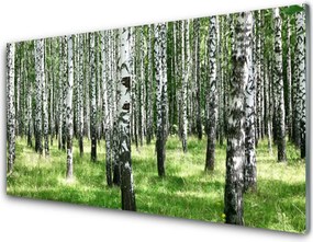 Panel Szklany Leśna Gęstwina I Trawy