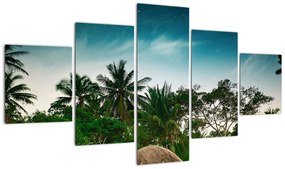 Obraz - palmy (125x70 cm)