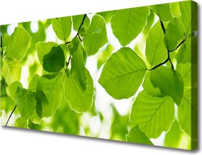 Obraz na płótnie Detal Egzotycznego Liścia