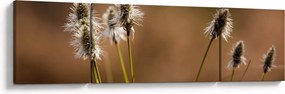 Obraz - Trawa (170x50 cm)