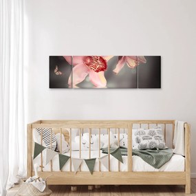 Obraz - Kwiaty i motyl (170x50 cm)
