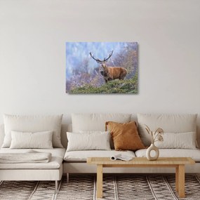 Obraz na szkle - Jeleń w krajobrazie (70x50 cm)