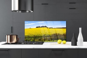 Szkło Ozdobne do Kuchni Bezkres Złocistych Pól