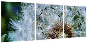 Obraz przekwitniętego dmuchawca (z zegarem) (90x30 cm)