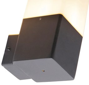 Zewnetrzna Lampa ścienna zewnętrzna czarna z opalizującym białym kloszem IP44 - Denmark Nowoczesny Oswietlenie zewnetrzne