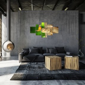 Obraz - Jaszczurka (125x70 cm)