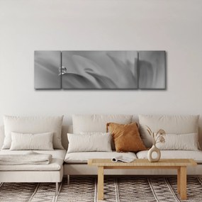 Obraz - Kropla na kwiecie, czarno - biały (170x50 cm)