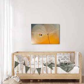Obraz - Makro kwiat (70x50 cm)