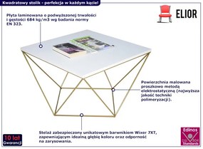 Kwadratowy stolik kawowy biały+ złoty Fiagox