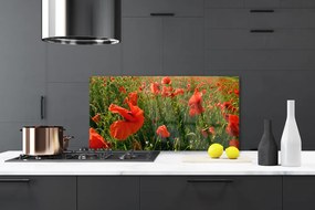 Panel Szklany Maki w Porannej Rosie