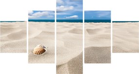 Obraz - Muszle na plaży (125x70 cm)