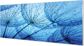 Panel szklany do Kuchni Puszyste Dmuchawce z Rosą