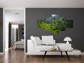 Obraz tarasów ryżowych Tegalalang, Bali (125x70 cm)