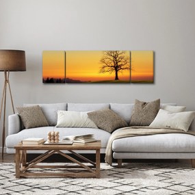 Obraz drzewa na polu (170x50 cm)
