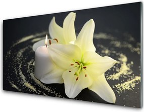 Panel Szklany Piękno Polnego Kwiatu