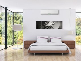 Obraz - Lotos w rękach Buddy (170x50 cm)