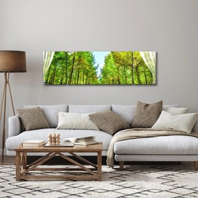 Obraz - Widok na las (170x50 cm)
