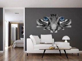 Obraz kota (125x70 cm)
