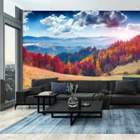 Fototapeta - Jesienne lasy (196x136 cm)