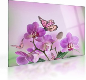Obraz na szkle - Motyl na kwiatach orchidei, liliowy (70x50 cm)