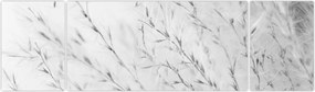 Obraz - Trawa pampasowa N⁰2 (170x50 cm)