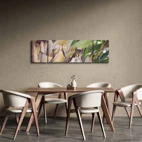 Obraz wiewiórki na drzewie (170x50 cm)