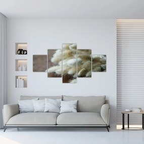 Obraz - Zajęczy ogonek (125x70 cm)