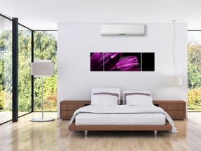Obraz  - Kropla wody (170x50 cm)