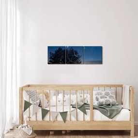 Obraz drzew w nocy (z zegarem) (90x30 cm)