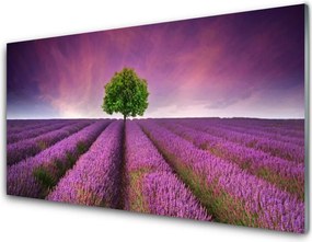 Panel Szklany Samotne Drzewo na Łące