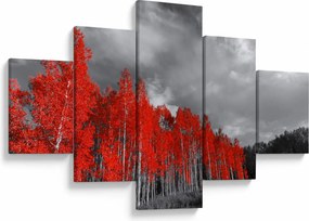 Obraz - Drzewa w kolorze jesieni (125x70 cm)