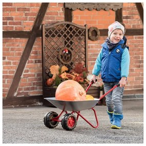 Taczka dla dzieci ogrodowa rolly toys dwukołowa metalowa