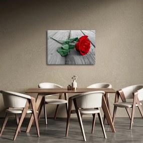 Obraz - Czerwona róża z zieloną łodygą (70x50 cm)