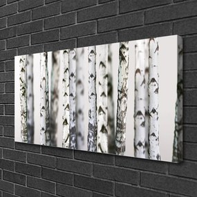 Obraz canvas Gęsta Korona Drzew