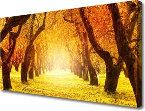 Obraz canvas Aleja w Cieniu Drzew