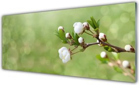 Panel Kuchenny Świeżość Polnych Kwiatów