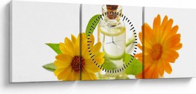 Obraz kwiatowego oleju (z zegarem) (90x30 cm)