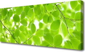Obraz drukowany na płótnie Organiczne Formy Liści