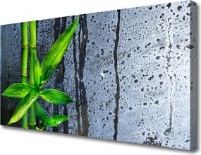 Obraz canvas Świeżość Zielonego Bambusa