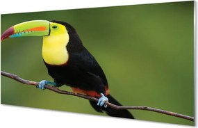 Panel szklany do Kuchni Egzotyczny Ptak na Gałęzi